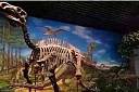 世界上最大的恐龙化石在哪里？恐龙化石有多大？
